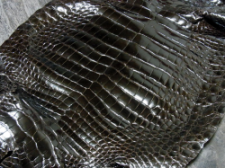 クロコダイル革（ワニ革）