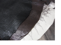 リザード革（トカゲ革）