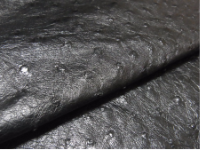 オーストリッチ革（ダチョウ革）