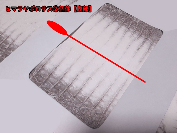 【U様専用オーダーメイド製作】【ヒマラヤ、ポロサス】スモールクロコダイル×クロムエクセルレザー　コンパクトラウンドファスナー財布